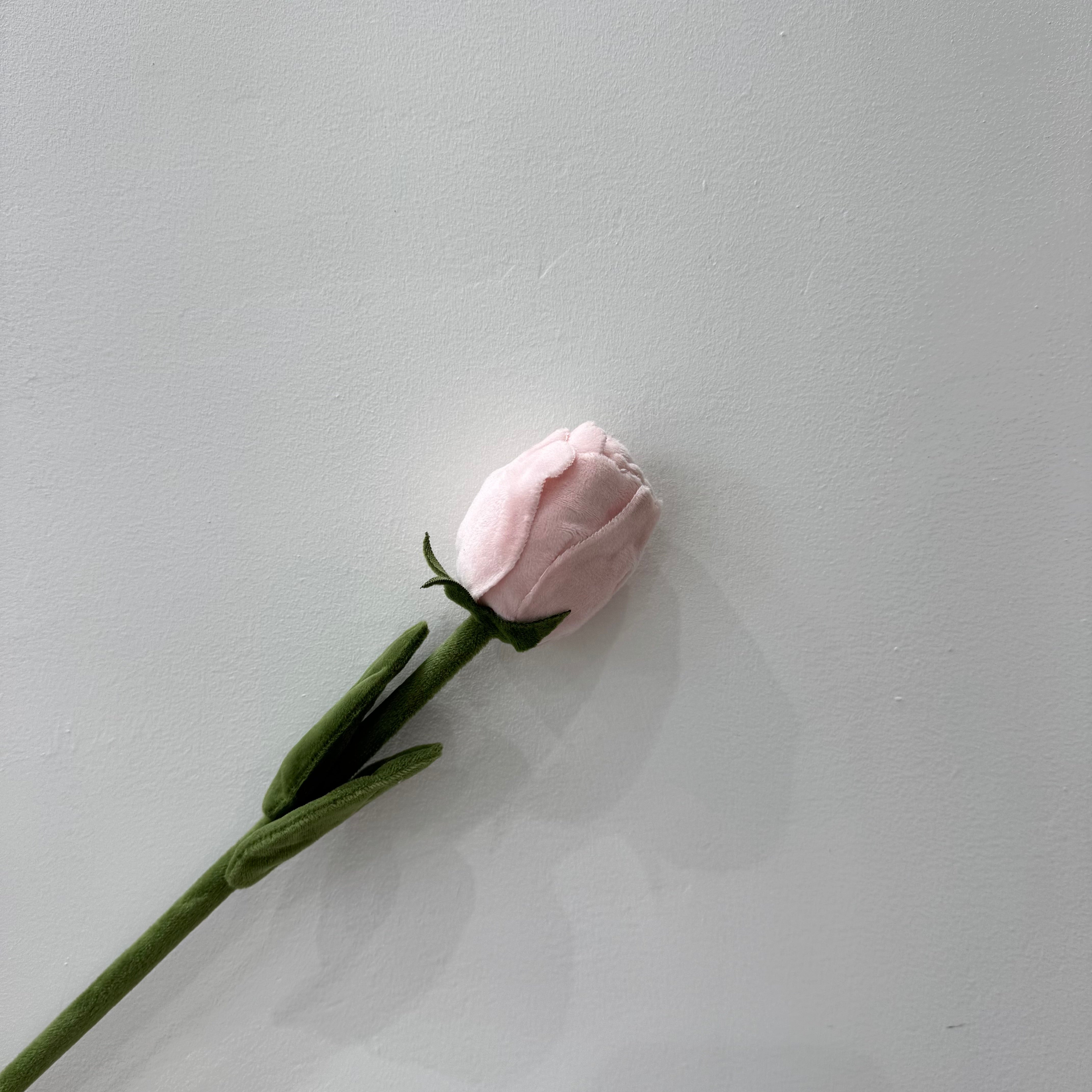 CJ Hendry Flower Market – Pink Rose