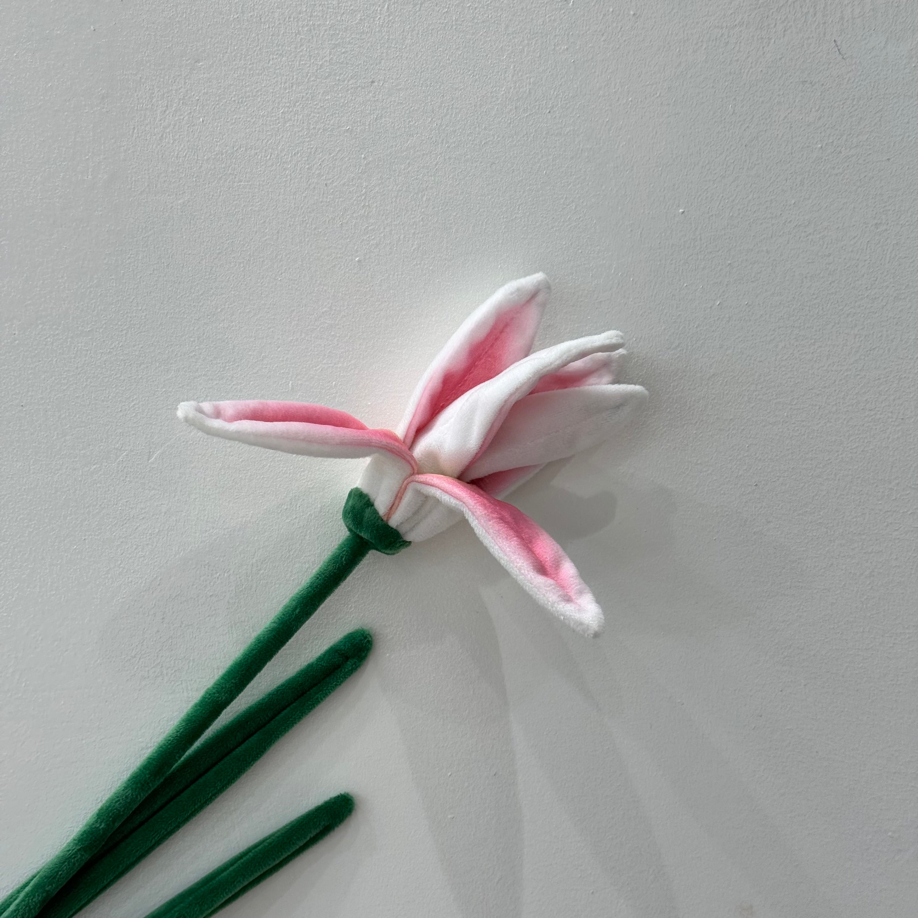 CJ Hendry Flower Market – Stargazer Lily