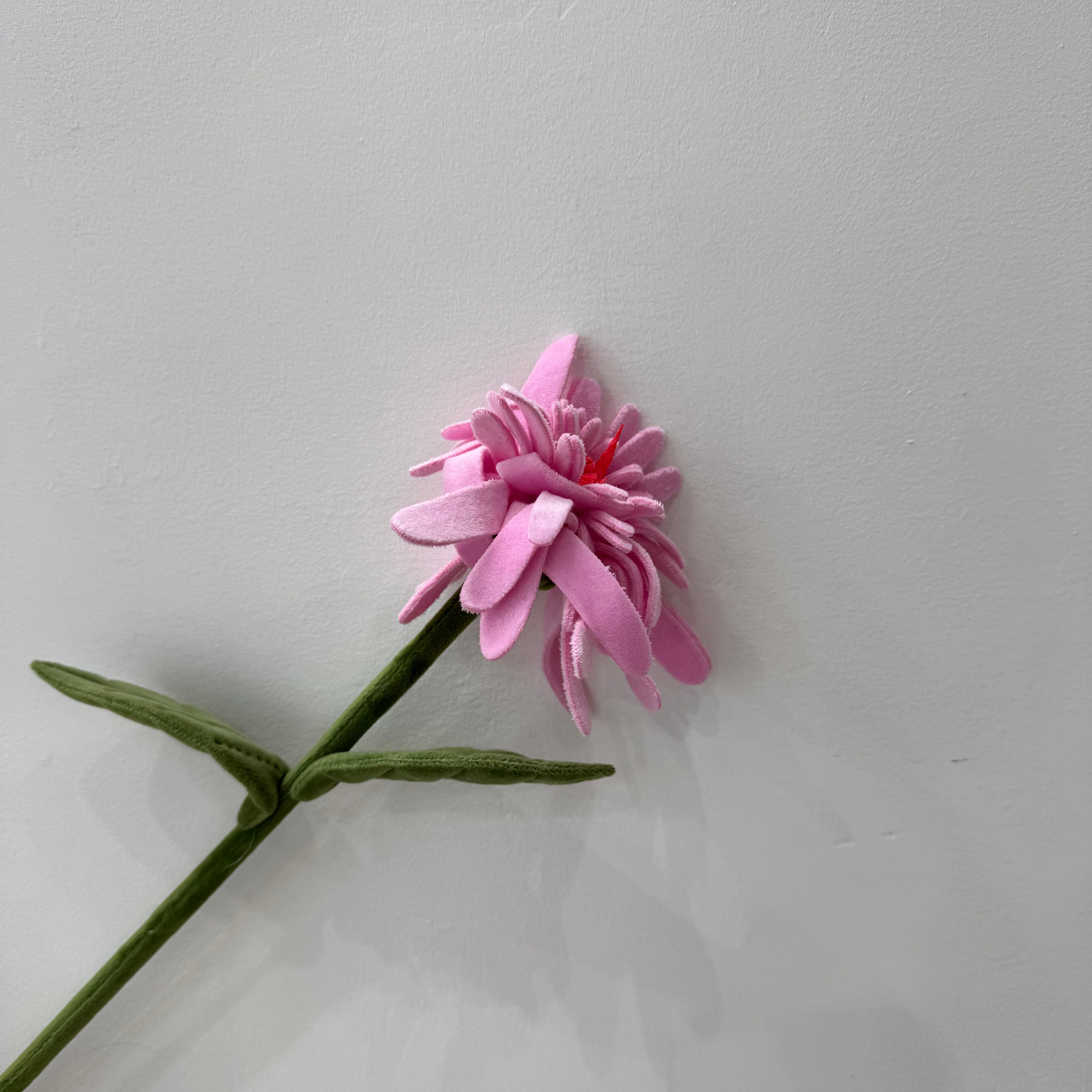 CJ Hendry Flower Market – Pink Gerbera Flower