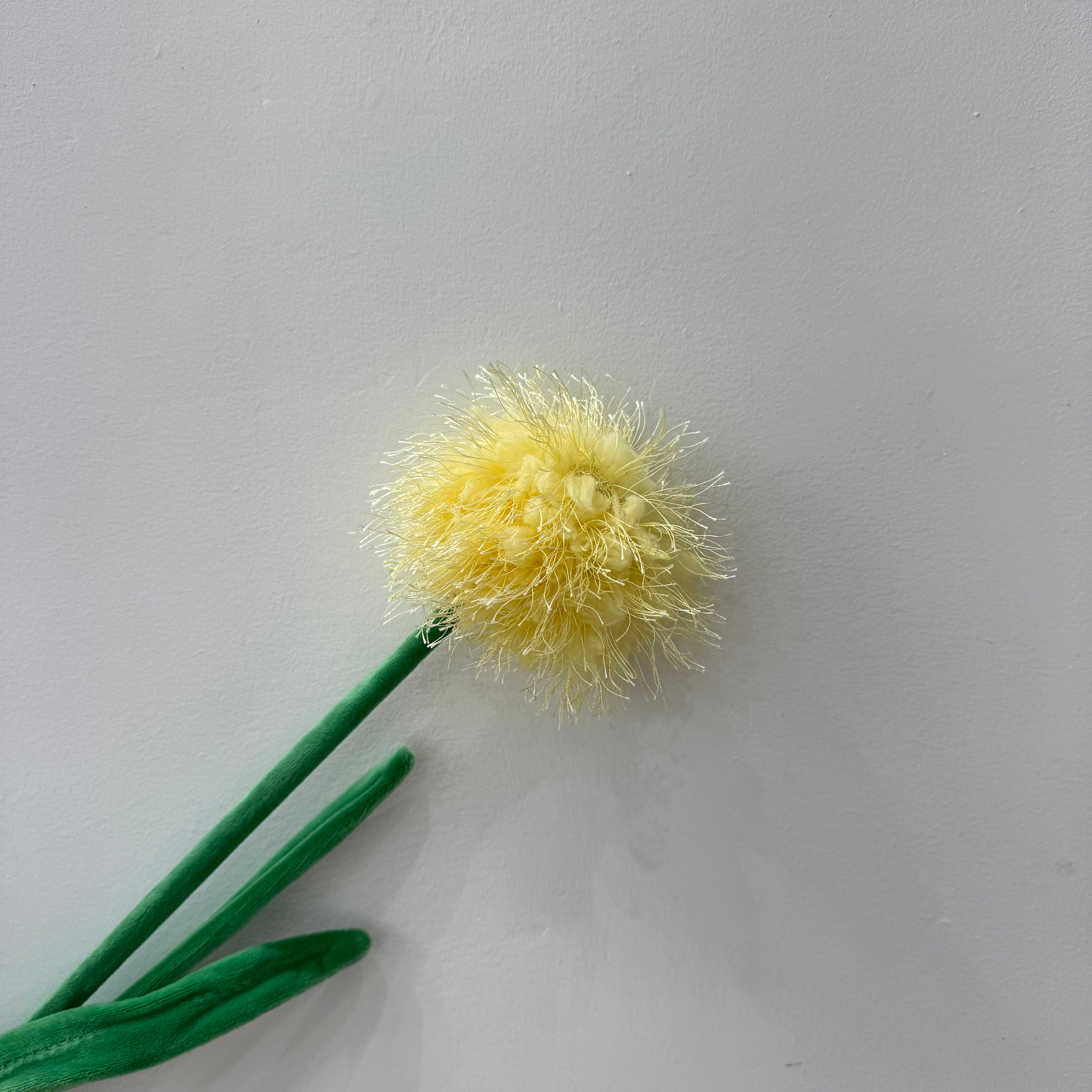 CJ Hendry Flower Market – Yellow Dandelion