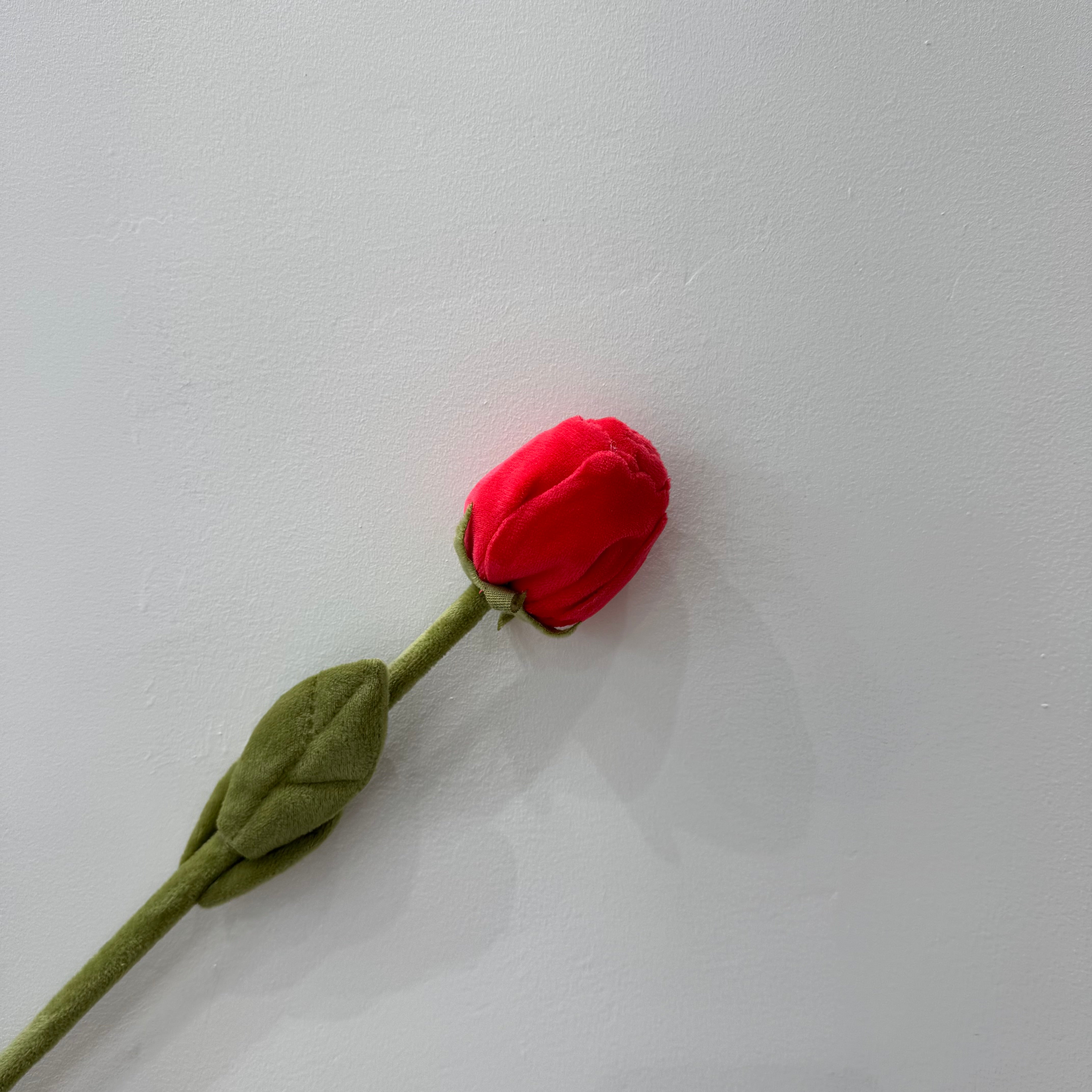CJ Hendry Flower Market – Red Rose