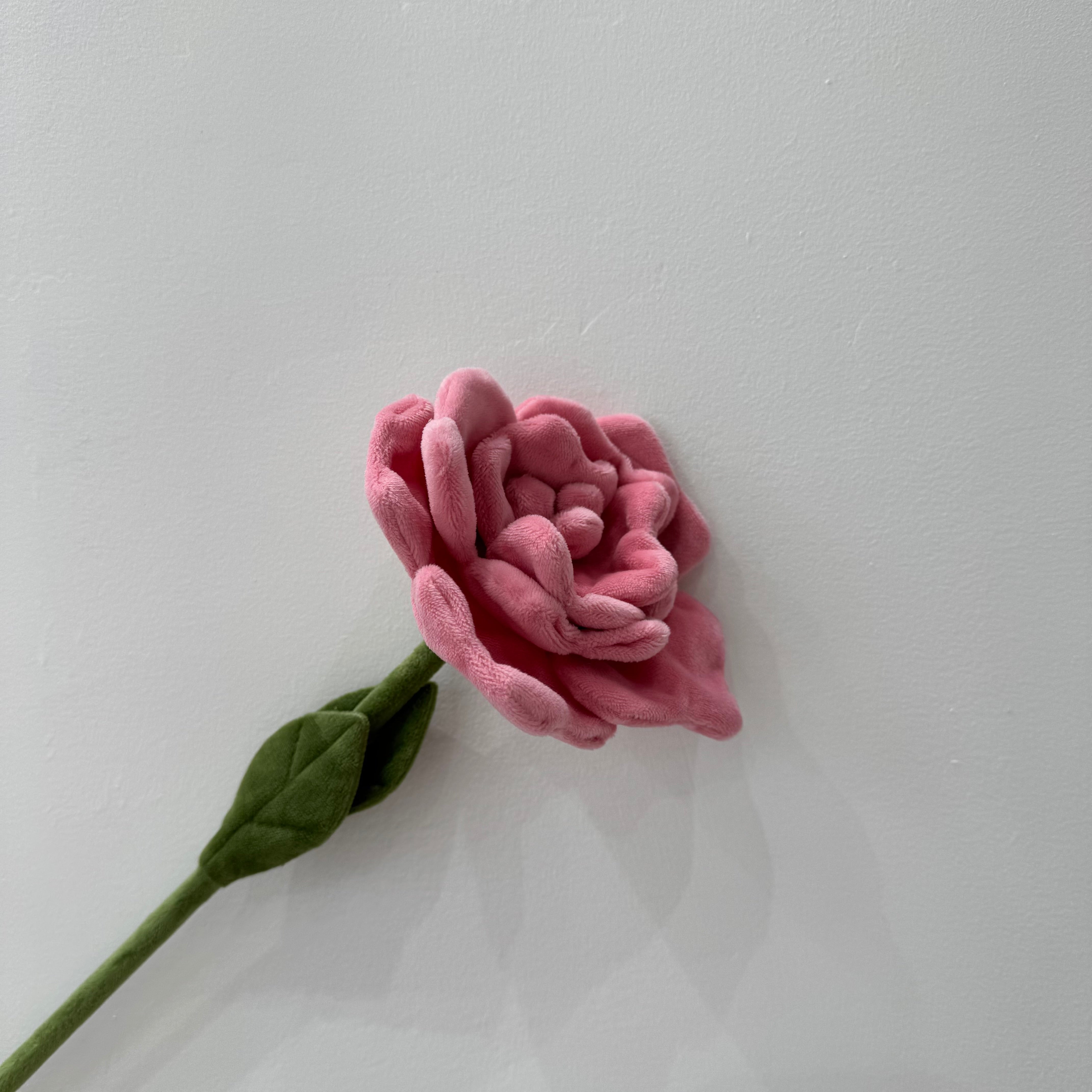 CJ Hendry Flower Market – Peony