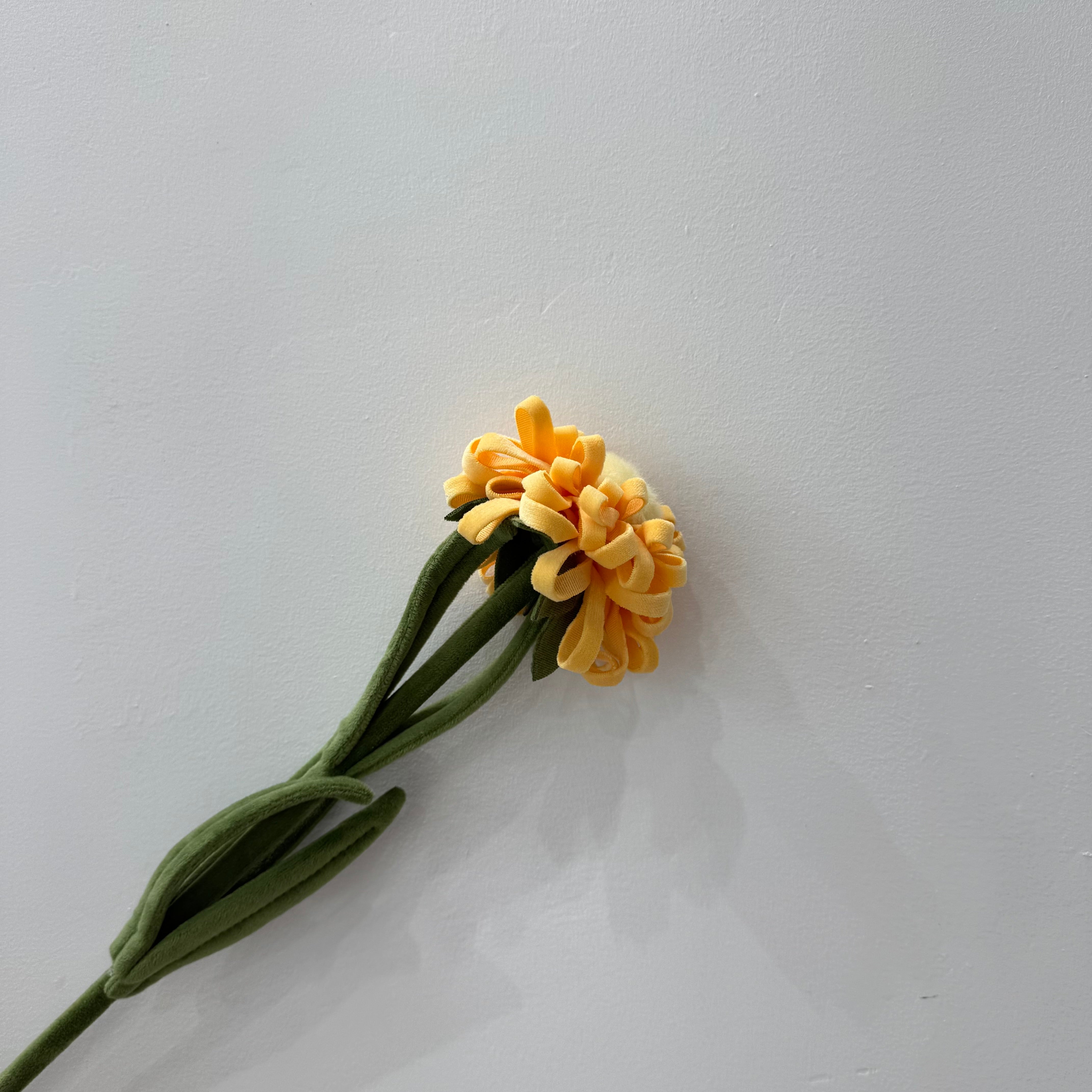 CJ Hendry Flower Market – Chrysanthemum