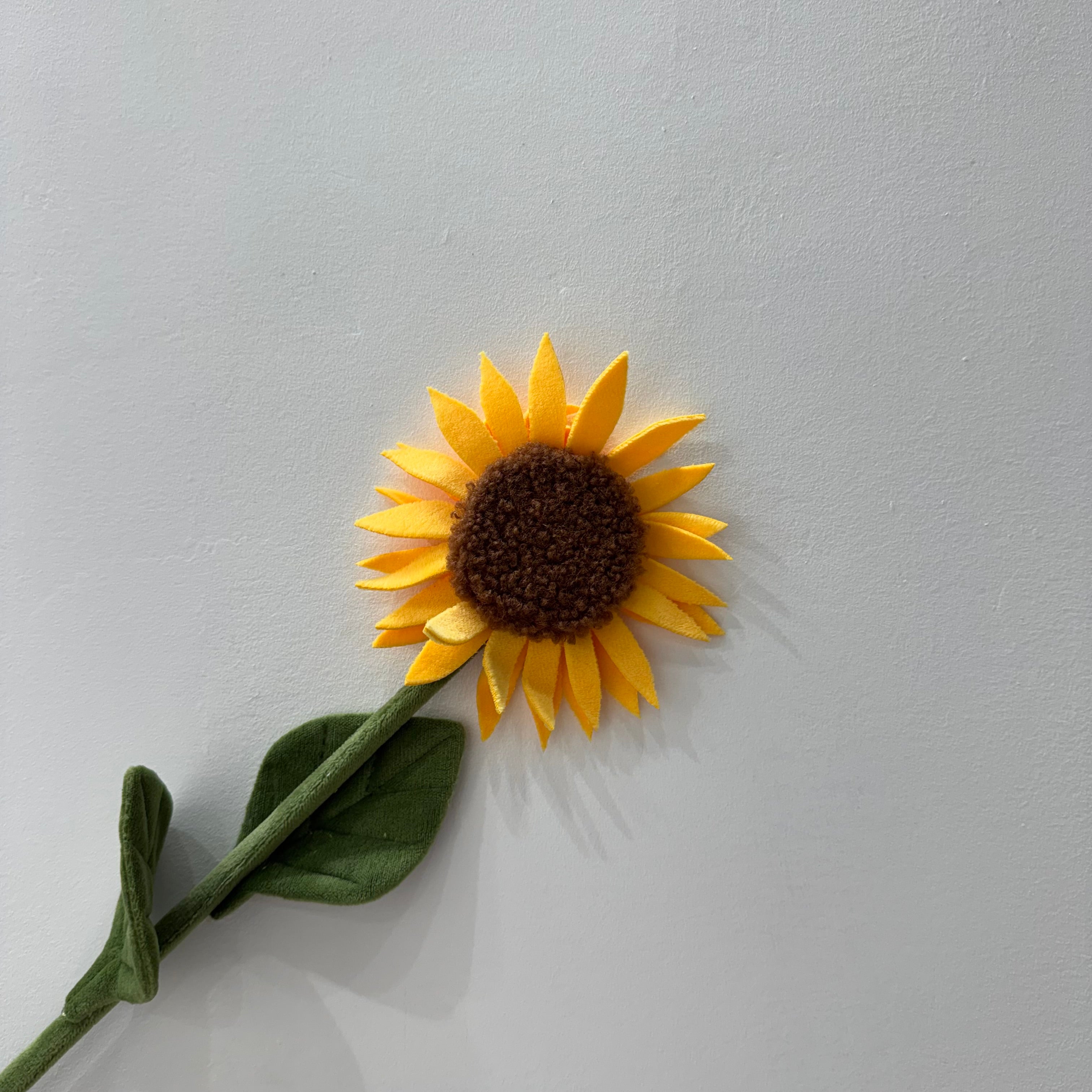 CJ Hendry Flower Market – Sunflower