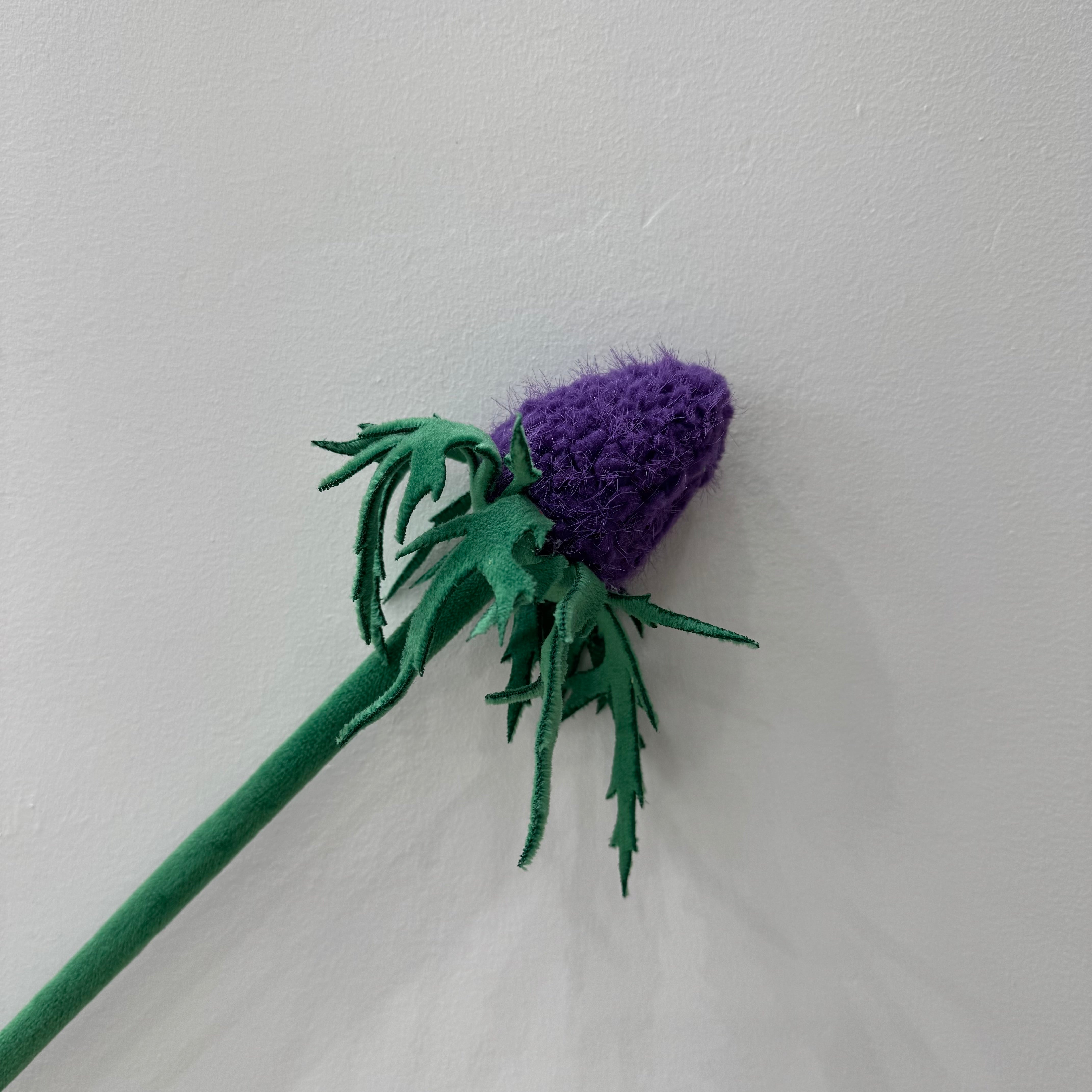 CJ Hendry Flower Market – Purple Star Thistle