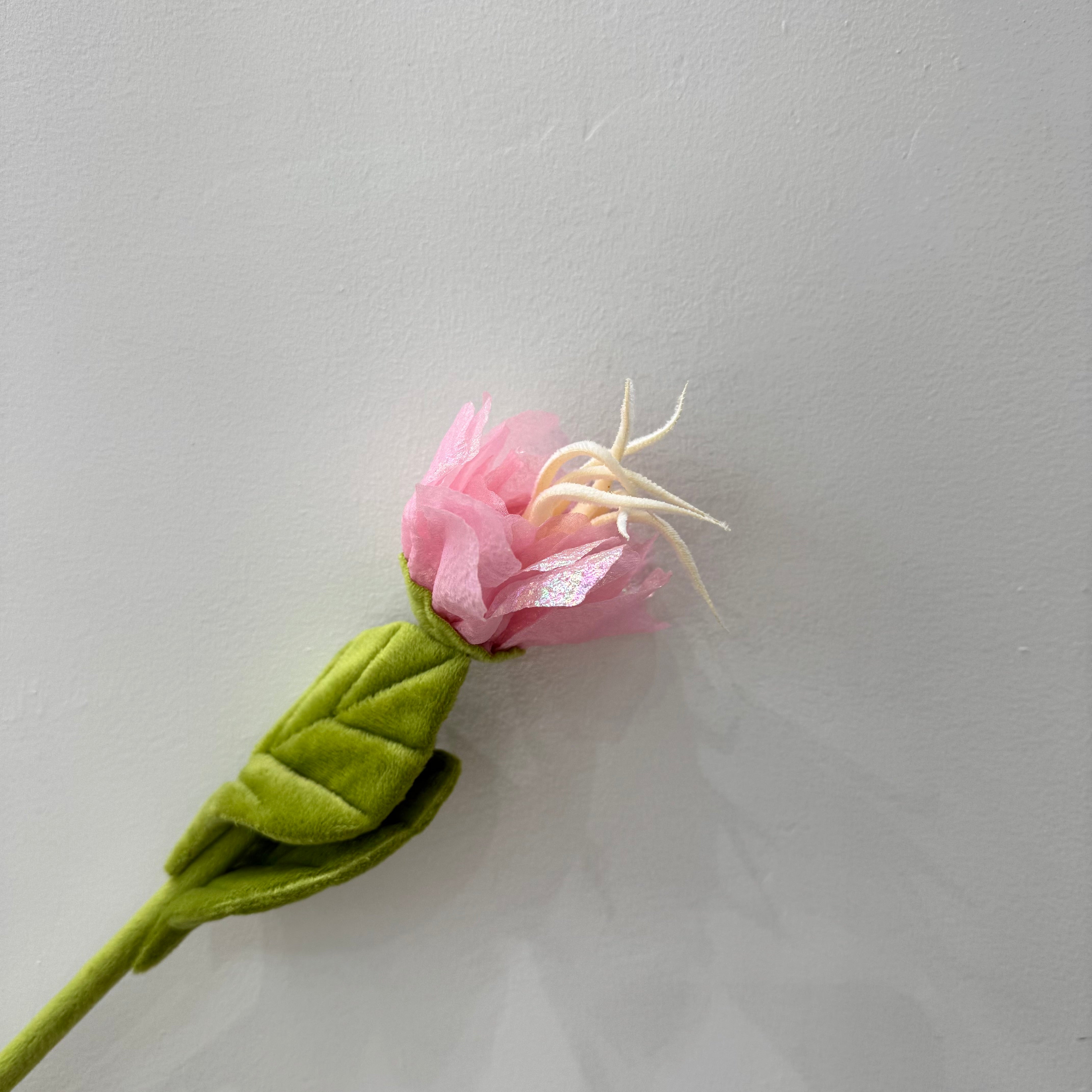CJ Hendry Flower Market – Shinny Flower